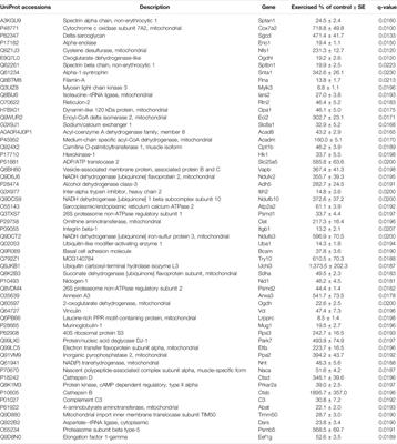 Proteomic Analysis of Cardiac Adaptation to Exercise by High Resolution Mass Spectrometry